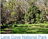 Lane Cove National Park