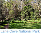 Lane Cove National Park