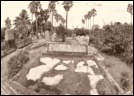 Gore Hill Cemetery is one of Australia's Oldest Cemetery