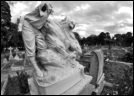 Gore Hill Cemetery has lots of interesting history