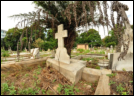 Gore Hill Cemetery was opened in 1868
