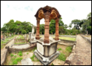 Gore Hill Cemetery is a beutiful part of history of Sydney