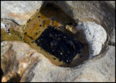 Kurnell Pier Footings