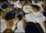 Kurnell Pier Footings
