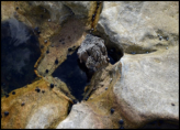 Kurnell Pier Footings