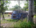Maitland History