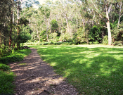 Lane Cove National Park