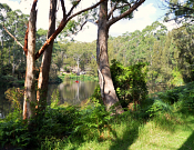 Lane Cove National Park