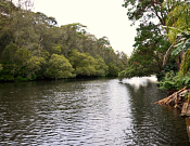 Lane Cove National Park