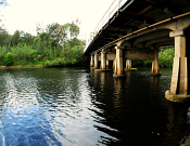 Lane Cove National Park