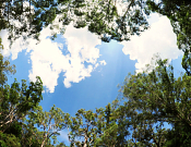Lane Cove National Park