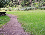 Lane Cove National Park
