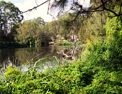 Lane Cove National Park