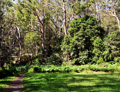 Lane Cove National Park