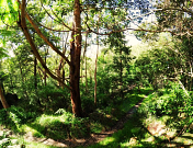 Primrose Park