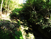 Primrose Park