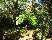 Primrose Park