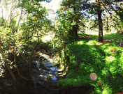 Primrose Park