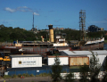 White Bay, Rozelle