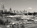 White Bay, Rozelle
