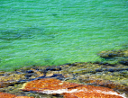Little Bay