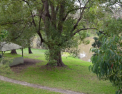 Parramatta Park