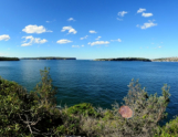 Middle Head & George's Heights