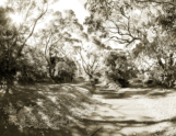 Middle Head & George's Heights