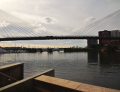 Blackwattle Bay