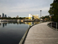 Blackwattle Bay
