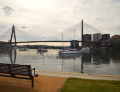 Blackwattle Bay