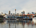 Blackwattle Bay