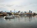 Blackwattle Bay