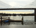 Blackwattle Bay