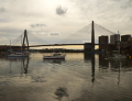 Blackwattle Bay