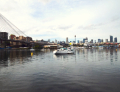 Blackwattle Bay