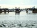 Blackwattle Bay