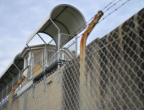 Old Maitland Gaol