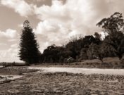 Botany Bay