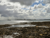 Botany Bay