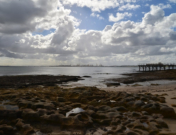 Botany Bay