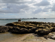 Botany Bay