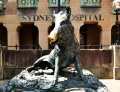 Sydney Hospital