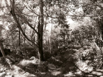 The Royal Botanic Gardens, Sydney