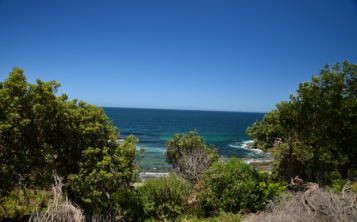 The Royal Botanic Gardens, Sydney
