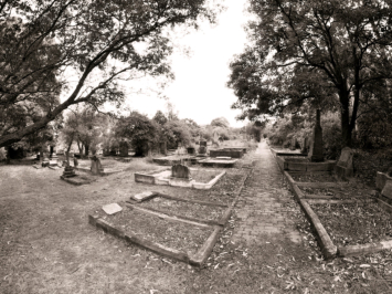 The Royal Botanic Gardens, Sydney