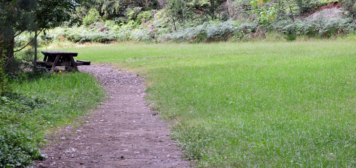 The Royal Botanic Gardens, Sydney