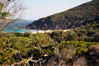 Nelson Bay