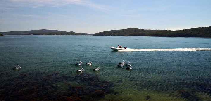 Nelson Bay