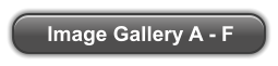 Image Gallery A - F